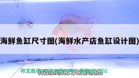 海鮮魚缸尺寸圖(海鮮水產(chǎn)店魚缸設(shè)計圖) 圣菲埃及魚