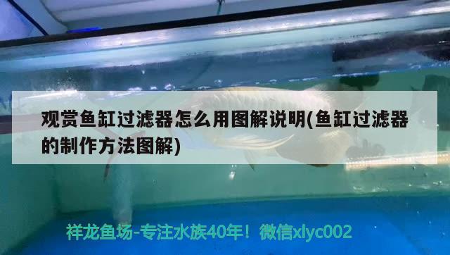 觀賞魚缸過濾器怎么用圖解說明(魚缸過濾器的制作方法圖解)