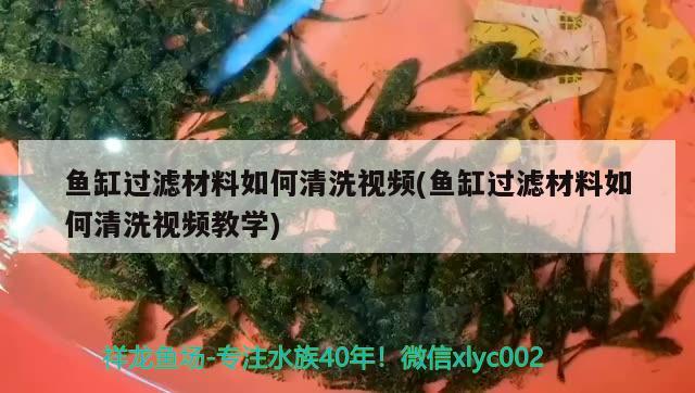 魚缸過濾材料如何清洗視頻(魚缸過濾材料如何清洗視頻教學) 水族世界