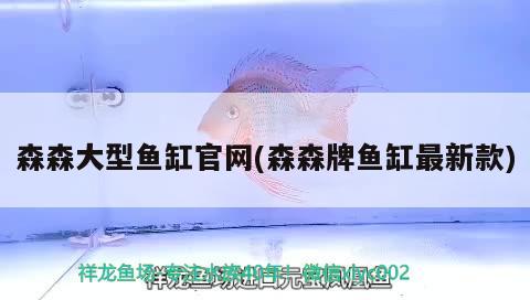 森森大型魚缸官網(wǎng)(森森牌魚缸最新款) 黃金招財貓魚