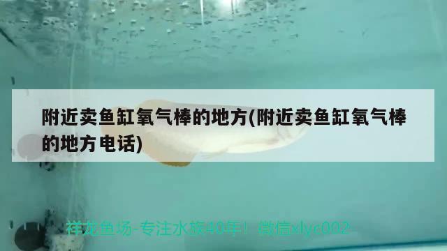 附近賣魚缸氧氣棒的地方(附近賣魚缸氧氣棒的地方電話) 賽級紅龍魚