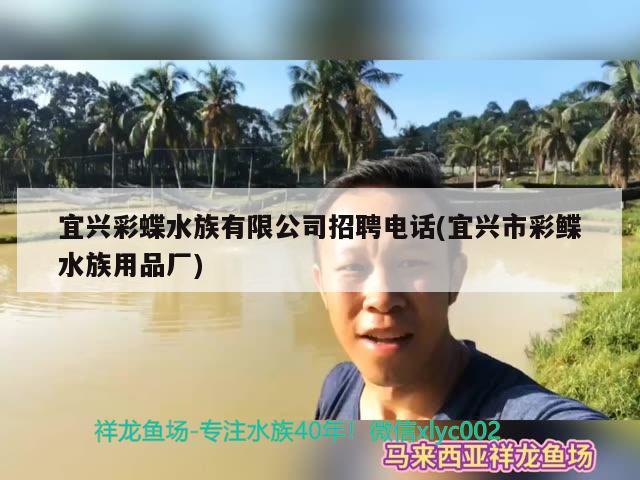 宜興彩蝶水族有限公司招聘電話(宜興市彩鰈水族用品廠)