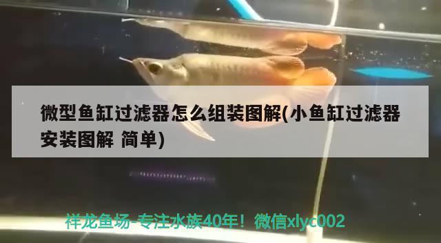 微型魚缸過濾器怎么組裝圖解(小魚缸過濾器安裝圖解簡單)