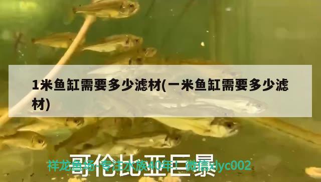 1米魚缸需要多少濾材(一米魚缸需要多少濾材)