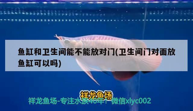 魚缸和衛(wèi)生間能不能放對門(衛(wèi)生間門對面放魚缸可以嗎)