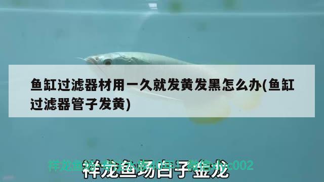 魚缸過濾器材用一久就發(fā)黃發(fā)黑怎么辦(魚缸過濾器管子發(fā)黃) 祥龍水族護理水