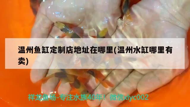 溫州魚缸定制店地址在哪里(溫州水缸哪里有賣) 和尚魚