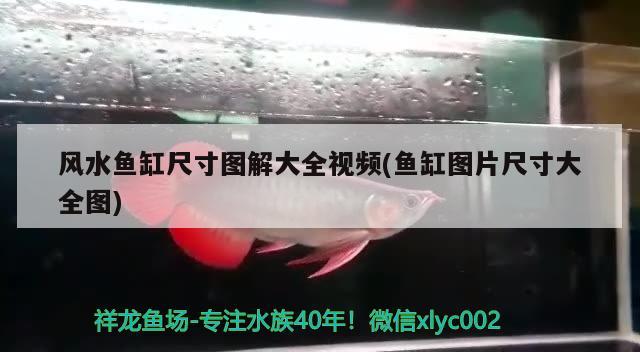 風水魚缸尺寸圖解大全視頻(魚缸圖片尺寸大全圖) 魚缸風水