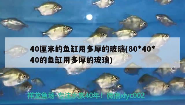 40厘米的魚(yú)缸用多厚的玻璃(804040的魚(yú)缸用多厚的玻璃) 潛水艇魚(yú)