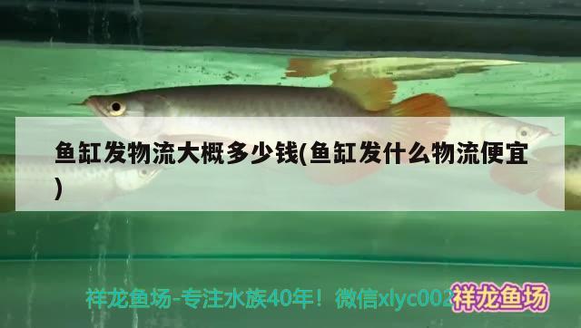 魚缸發(fā)物流大概多少錢(魚缸發(fā)什么物流便宜) 廣州水族器材濾材批發(fā)市場