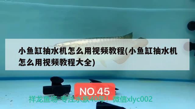 小魚缸抽水機怎么用視頻教程(小魚缸抽水機怎么用視頻教程大全) 南美異形觀賞魚