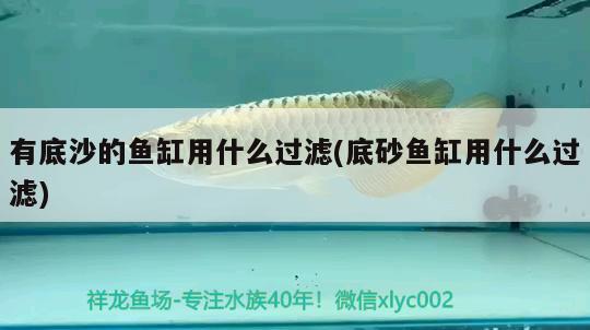 有底沙的魚缸用什么過濾(底砂魚缸用什么過濾) 祥龍魚場其他產(chǎn)品