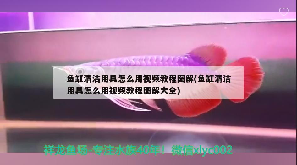 魚缸清潔用具怎么用視頻教程圖解(魚缸清潔用具怎么用視頻教程圖解大全)