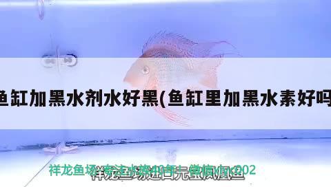 魚缸加黑水劑水好黑(魚缸里加黑水素好嗎)