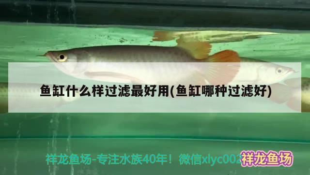 魚缸什么樣過濾最好用(魚缸哪種過濾好) 孵化器