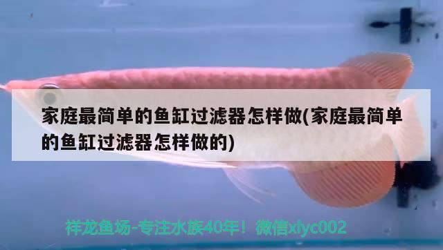 家庭最簡單的魚缸過濾器怎樣做(家庭最簡單的魚缸過濾器怎樣做的)