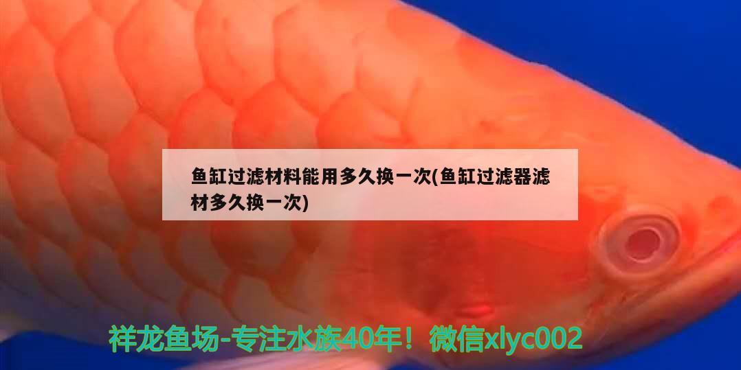 魚缸過濾材料能用多久換一次(魚缸過濾器濾材多久換一次)