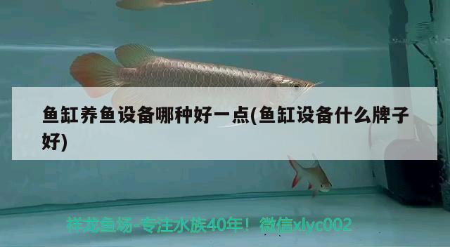 魚缸養(yǎng)魚設(shè)備哪種好一點(diǎn)(魚缸設(shè)備什么牌子好)