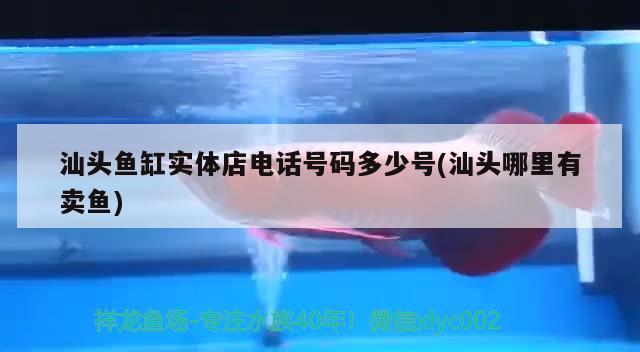 汕頭魚缸實體店電話號碼多少號(汕頭哪里有賣魚) 水族雜談