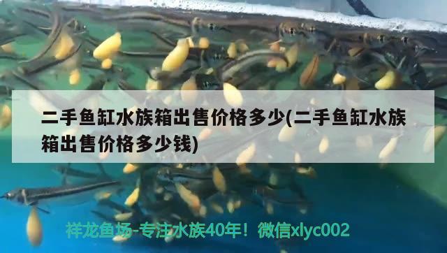 二手魚缸水族箱出售價(jià)格多少(二手魚缸水族箱出售價(jià)格多少錢) 魚缸/水族箱