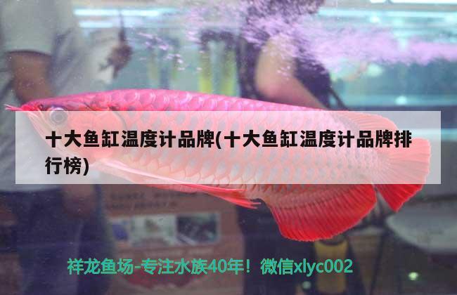 十大魚缸溫度計品牌(十大魚缸溫度計品牌排行榜)