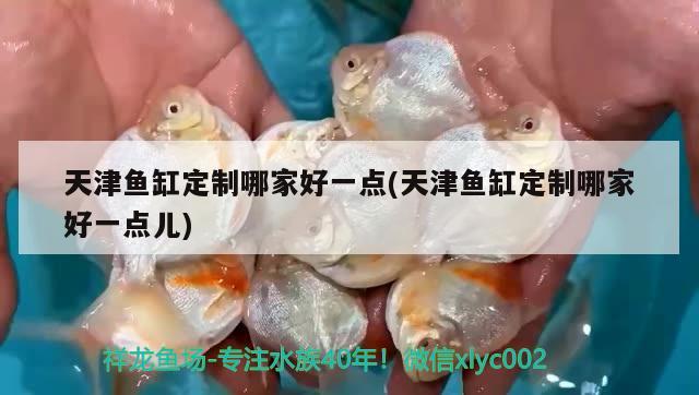 天津魚缸定制哪家好一點(天津魚缸定制哪家好一點兒) 熊貓異形魚L46