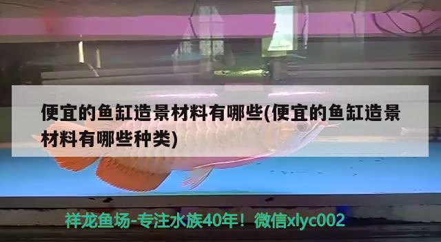 便宜的魚(yú)缸造景材料有哪些(便宜的魚(yú)缸造景材料有哪些種類) 黑水素