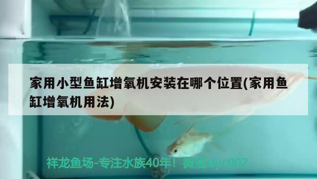 家用小型魚缸增氧機(jī)安裝在哪個(gè)位置(家用魚缸增氧機(jī)用法) 虎魚魚苗