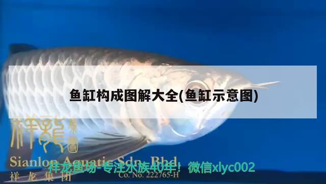 魚缸構(gòu)成圖解大全(魚缸示意圖)