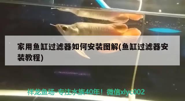 家用魚缸過濾器如何安裝圖解(魚缸過濾器安裝教程)