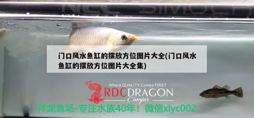 門口風(fēng)水魚缸的擺放方位圖片大全(門口風(fēng)水魚缸的擺放方位圖片大全集) 魚缸風(fēng)水