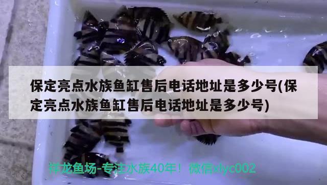 保定亮點水族魚缸售后電話地址是多少號(保定亮點水族魚缸售后電話地址是多少號) 鴨嘴鯊魚