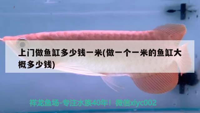 上門做魚缸多少錢一米(做一個(gè)一米的魚缸大概多少錢) 飛鳳魚