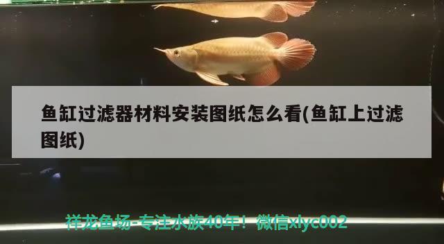 魚缸過濾器材料安裝圖紙怎么看(魚缸上過濾圖紙) 成吉思汗鯊（球鯊）魚