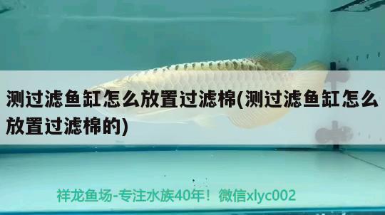 測過濾魚缸怎么放置過濾棉(測過濾魚缸怎么放置過濾棉的) 魚缸等水族設(shè)備