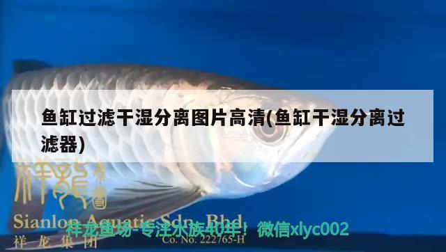 魚缸過(guò)濾干濕分離圖片高清(魚缸干濕分離過(guò)濾器) 申古銀版魚