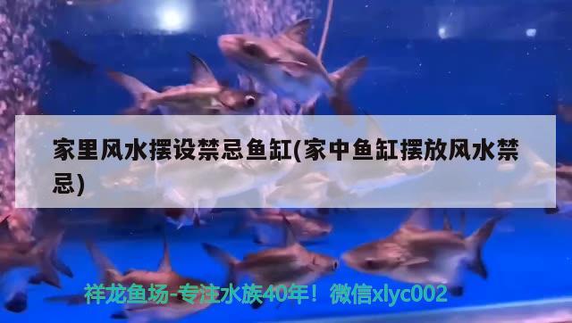 家里風(fēng)水?dāng)[設(shè)禁忌魚缸(家中魚缸擺放風(fēng)水禁忌)