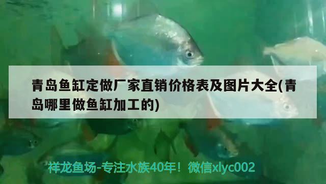 青島魚缸定做廠家直銷價格表及圖片大全(青島哪里做魚缸加工的) 豹紋夫魚苗