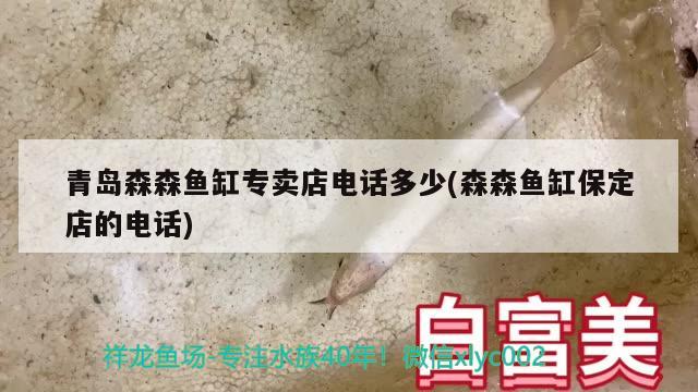 青島森森魚缸專賣店電話多少(森森魚缸保定店的電話)