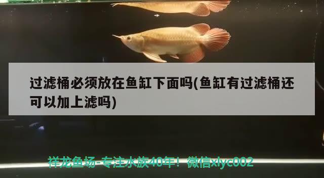 過濾桶必須放在魚缸下面嗎(魚缸有過濾桶還可以加上濾嗎) 黃鰭鯧魚