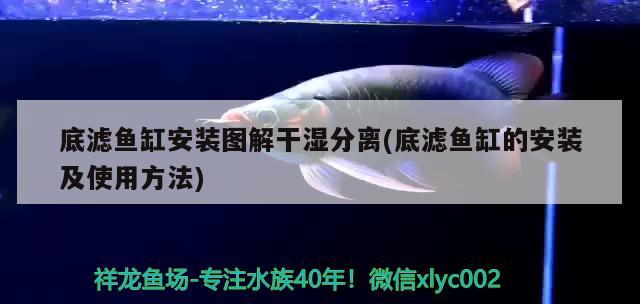 底濾魚(yú)缸安裝圖解干濕分離(底濾魚(yú)缸的安裝及使用方法)