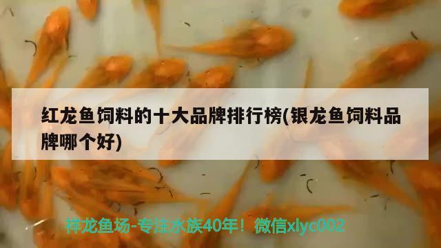 紅龍魚飼料的十大品牌排行榜(銀龍魚飼料品牌哪個(gè)好) 銀龍魚