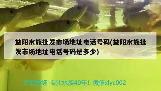 益陽水族批發(fā)市場地址電話號碼(益陽水族批發(fā)市場地址電話號碼是多少) 觀賞魚水族批發(fā)市場