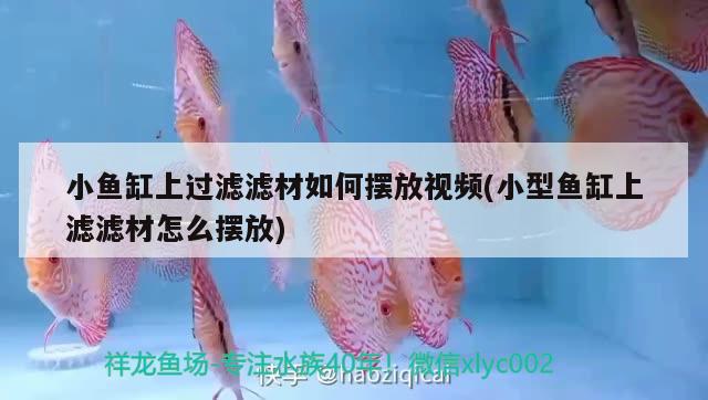 小魚缸上過濾濾材如何擺放視頻(小型魚缸上濾濾材怎么擺放)