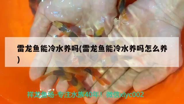 雷龍魚能冷水養(yǎng)嗎(雷龍魚能冷水養(yǎng)嗎怎么養(yǎng))