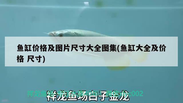 魚缸價格及圖片尺寸大全圖集(魚缸大全及價格尺寸) 黑桃A魚苗