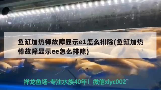 魚缸加熱棒故障顯示e1怎么排除(魚缸加熱棒故障顯示ee怎么排除)