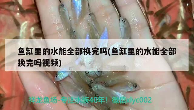 魚缸里的水能全部換完嗎(魚缸里的水能全部換完嗎視頻) 龍魚芯片掃碼器