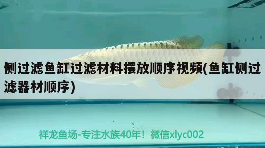 側(cè)過濾魚缸過濾材料擺放順序視頻(魚缸側(cè)過濾器材順序)