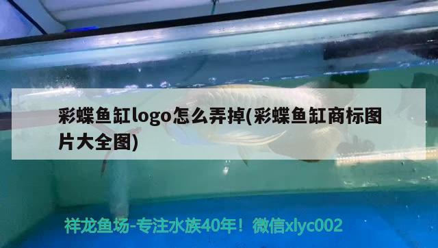 彩蝶魚缸logo怎么弄掉(彩蝶魚缸商標(biāo)圖片大全圖)